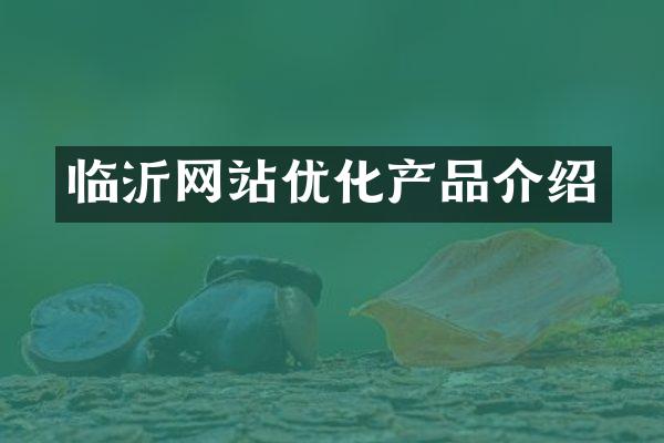 临沂网站优化产品介绍
