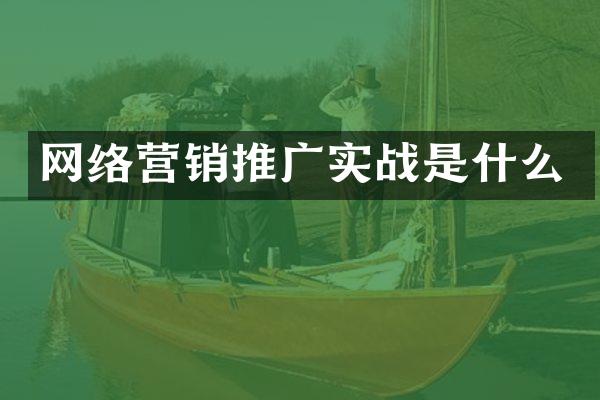 网络营销推广实战是什么