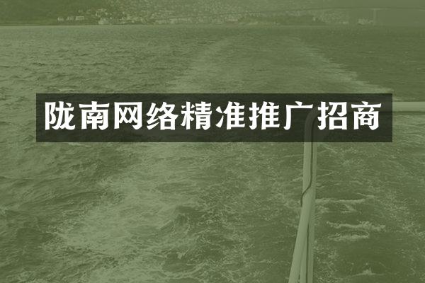 陇南网络精准推广招商