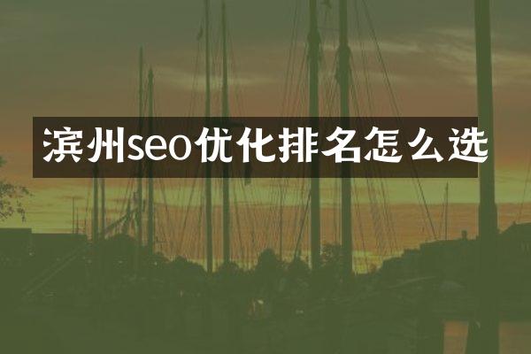 滨州seo优化排名怎么选