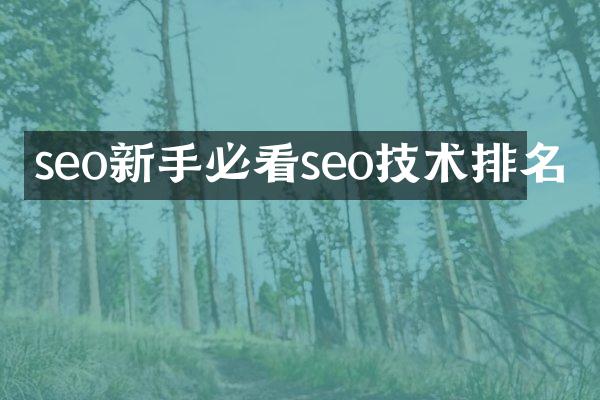 seo新手必看seo技术排名