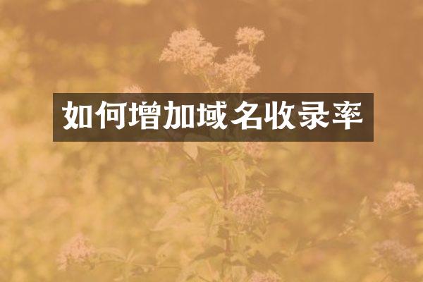 如何增加域名收录率