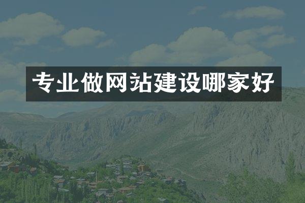 专业做网站建设哪家好