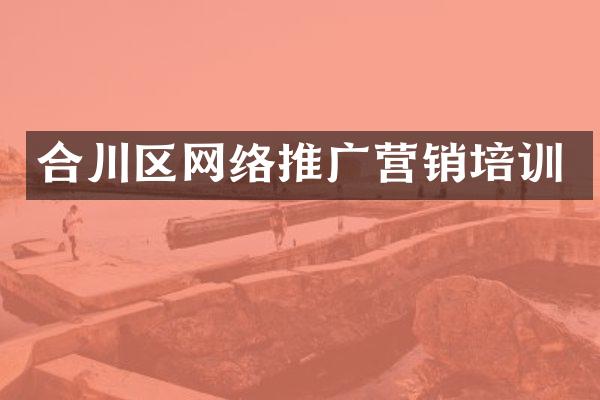 合川区网络推广营销培训