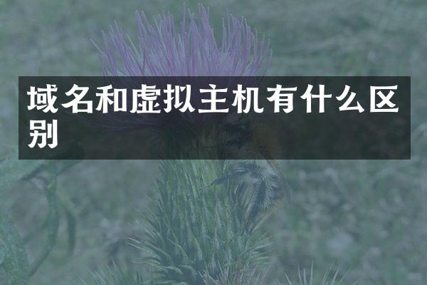 域名和虚拟主机有什么区别