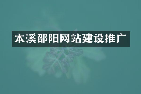 本溪邵阳网站建设推广