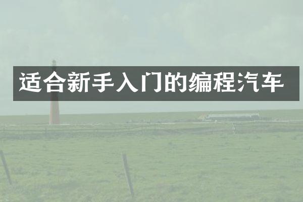 适合新手入门的编程汽车