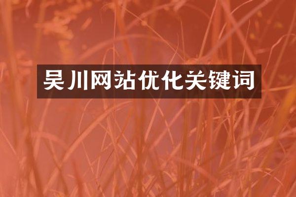 吴川网站优化关键词