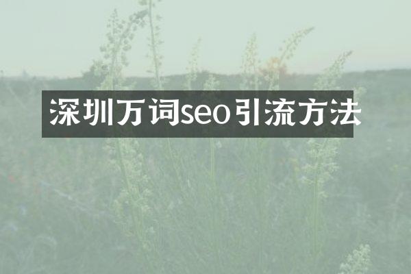 深圳万词seo引流方法