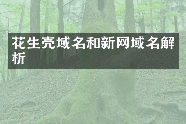 花生壳域名和新网域名解析