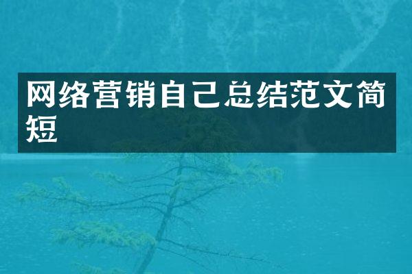 网络营销自己总结范文简短