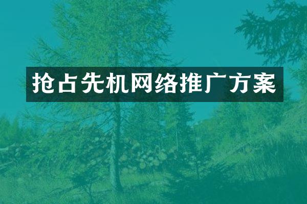 抢占先机网络推广方案