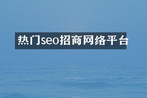 热门seo招商网络平台