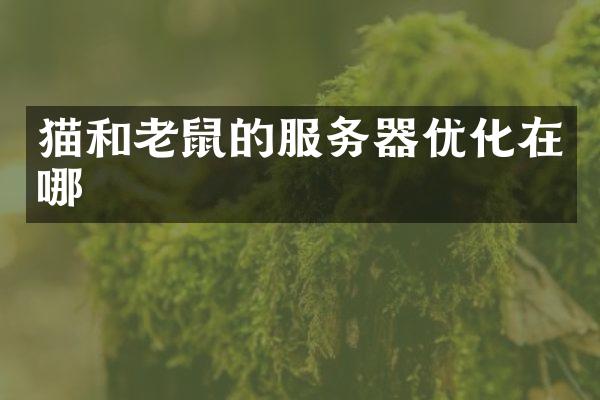 猫和老鼠的服务器优化在哪