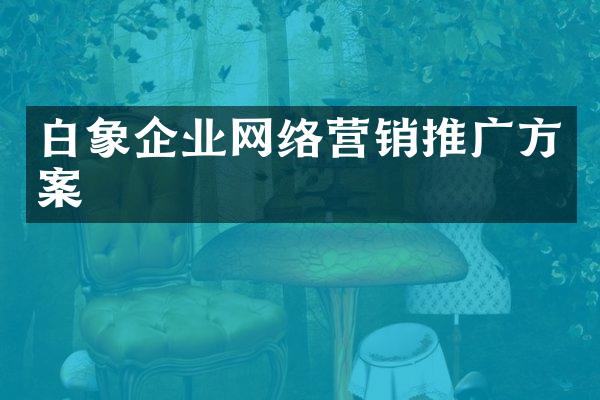 白象企业网络营销推广方案