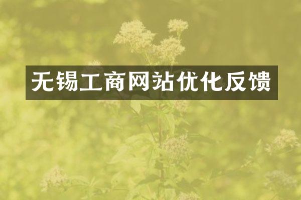 无锡工商网站优化反馈