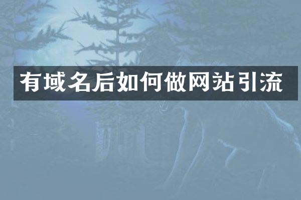 有域名后如何做网站引流