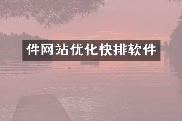 件网站优化快排软件