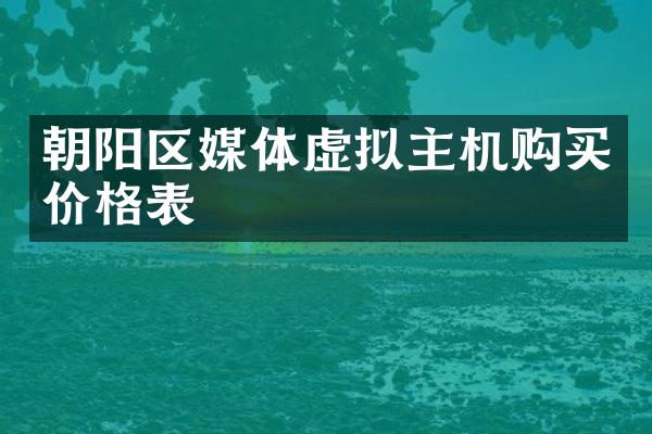 朝阳区媒体虚拟主机购买价格表
