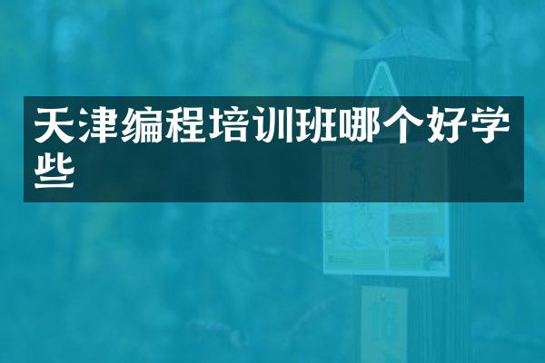 天津编程培训班哪个好学些