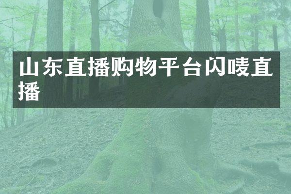 山东直播购物平台闪唛直播