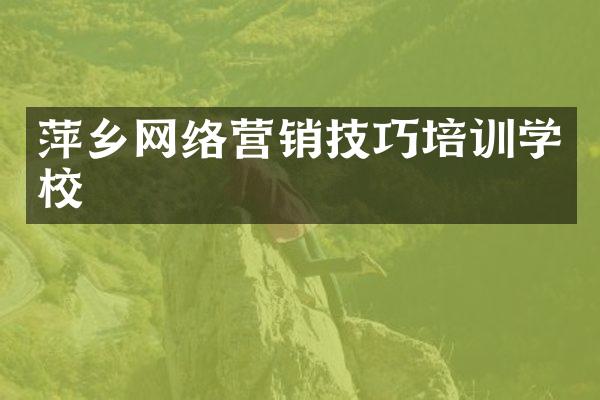 萍乡网络营销技巧培训学校