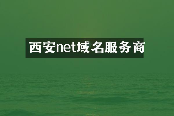 西安net域名服务商