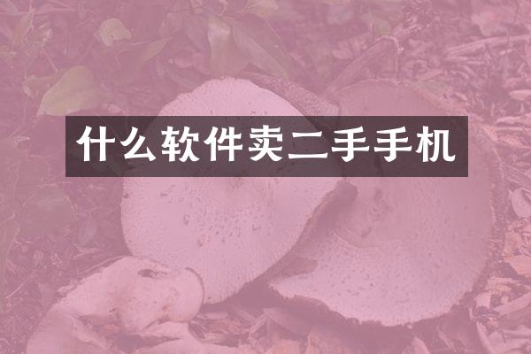 什么软件卖二手手机