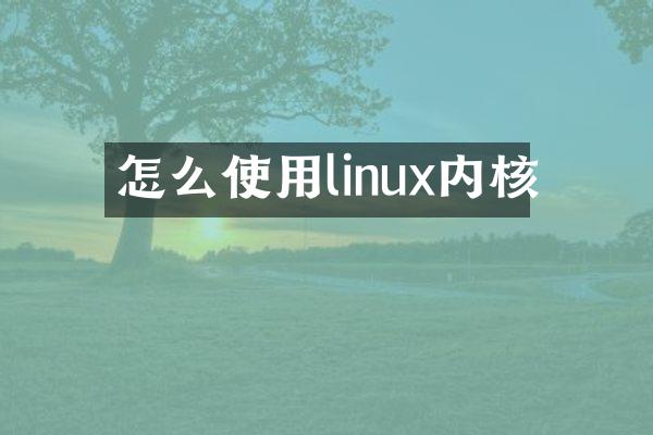 怎么使用linux内核