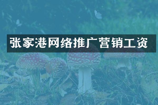 张家港网络推广营销工资