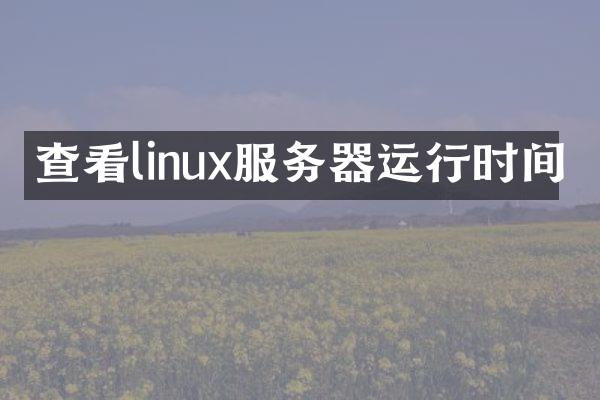 查看linux服务器运行时间