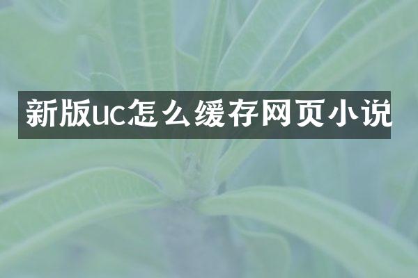 新版uc怎么缓存网页小说