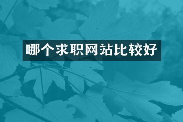 哪个求职网站比较好