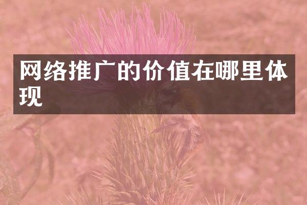 网络推广的价值在哪里体现
