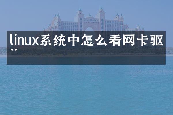 linux系统中怎么看网卡驱动