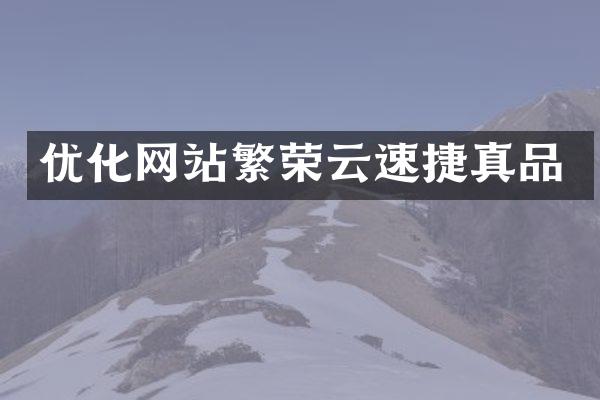 优化网站繁荣云速捷真品