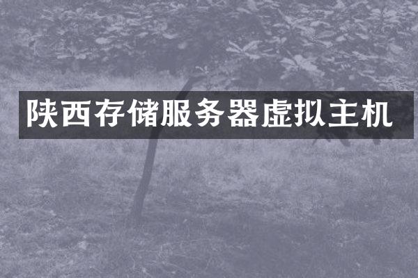 陕西存储服务器虚拟主机