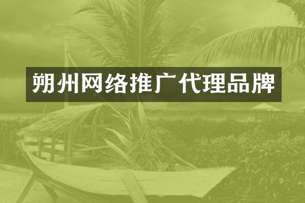 朔州网络推广代理品牌
