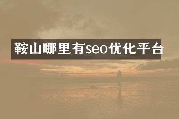 鞍山哪里有seo优化平台