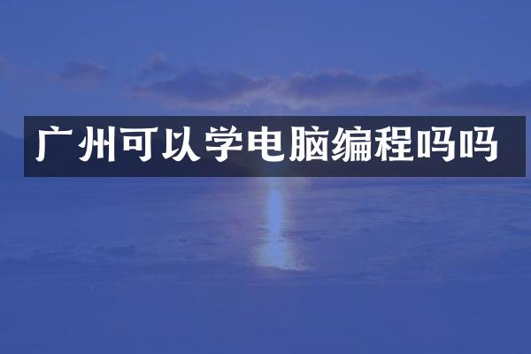 广州可以学电脑编程吗吗