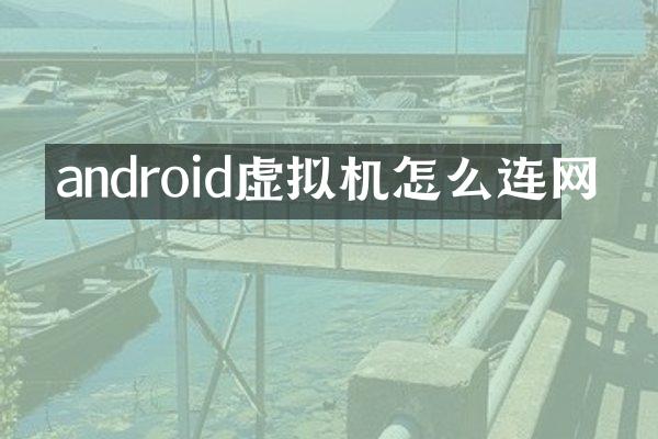 android虚拟机怎么连网
