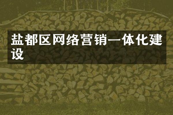 盐都区网络营销一体化建设