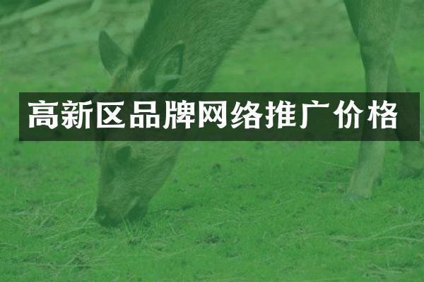 高新区品牌网络推广价格