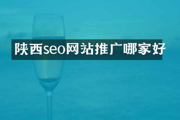 陕西seo网站推广哪家好