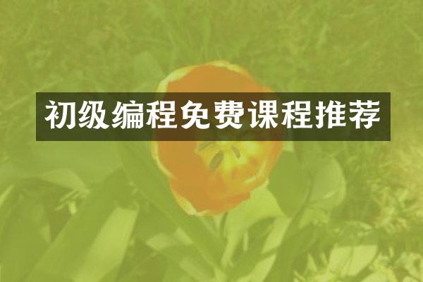 初级编程免费课程推荐
