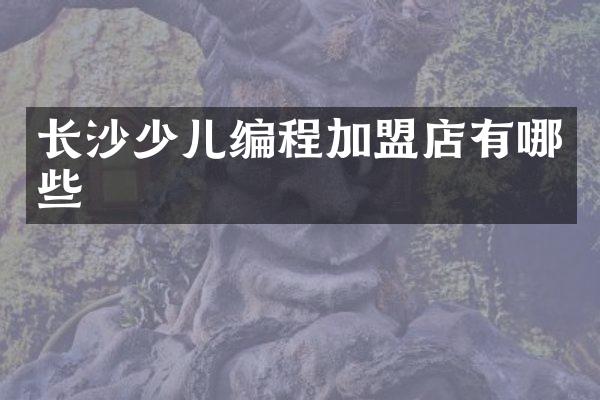 长沙少儿编程加盟店有哪些