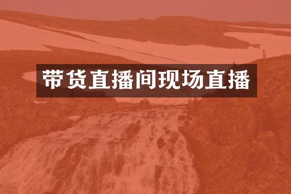 带货直播间现场直播