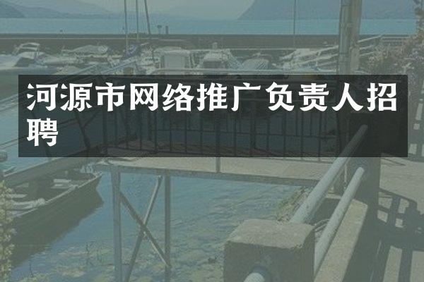 河源市网络推广负责人招聘