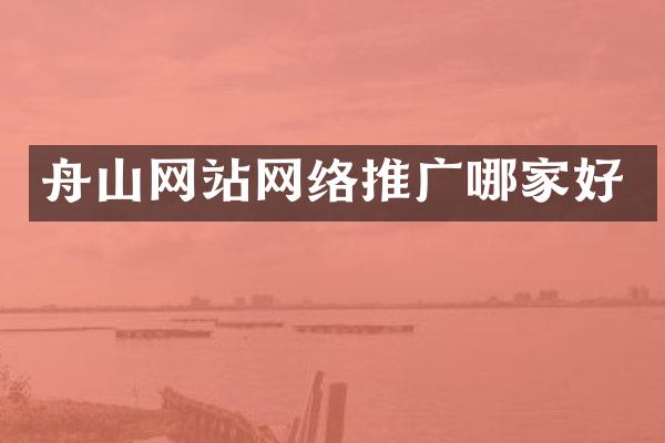 舟山网站网络推广哪家好