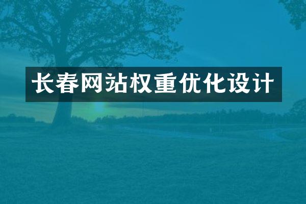 长春网站权重优化设计